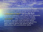 Lietuvos-Europos Sąjungos (ES) kultūrinio bendradarbiavimo programos 2 puslapis