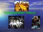 Lietuvos-Europos Sąjungos (ES) kultūrinio bendradarbiavimo programos 11 puslapis