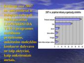 Lietuvos-Europos Sąjungos (ES) kultūrinio bendradarbiavimo programos 13 puslapis