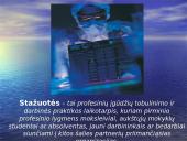 Lietuvos-Europos Sąjungos (ES) kultūrinio bendradarbiavimo programos 7 puslapis