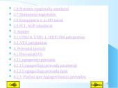 Magistralės ir prievadai 3 puslapis