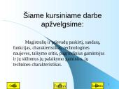 Magistralės ir prievadai 5 puslapis