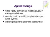 Magistralinio kelio "Via Baltica" atkarpos tiesimo darbų technologija akcinėje bendrovėje "Kauno tiltai" 16 puslapis