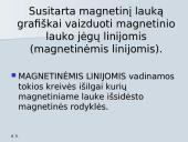 Magnetinio lauko šaltiniai, jėgos, charakteristika 12 puslapis