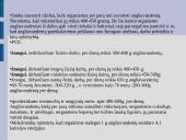 Maisto medžiagos ir jų teikiama energija 11 puslapis