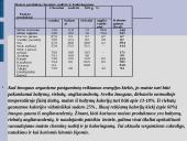 Maisto medžiagos ir jų teikiama energija 13 puslapis