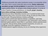 Maisto medžiagos ir jų teikiama energija 17 puslapis