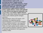 Maisto medžiagos ir jų teikiama energija 20 puslapis