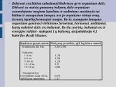 Maisto medžiagos ir jų teikiama energija 3 puslapis