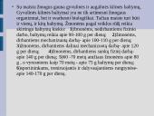 Maisto medžiagos ir jų teikiama energija 4 puslapis