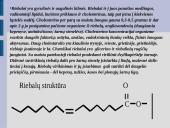 Maisto medžiagos ir jų teikiama energija 7 puslapis