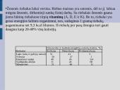 Maisto medžiagos ir jų teikiama energija 8 puslapis