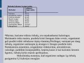 Maisto medžiagos ir jų teikiama energija 9 puslapis