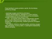 Maisto priedų kategorijos 16 puslapis