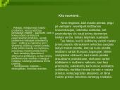 Maisto priedų kategorijos 18 puslapis