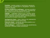 Maisto priedų kategorijos 9 puslapis