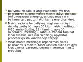 Maisto tarša 7 puslapis