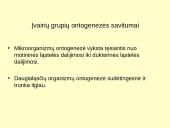 Makroevoliucija 15 puslapis