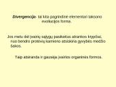 Makroevoliucija 17 puslapis