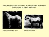 Makroevoliucija 18 puslapis