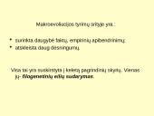 Makroevoliucija 3 puslapis
