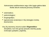 Makroevoliucija 4 puslapis