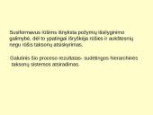 Makroevoliucija 5 puslapis