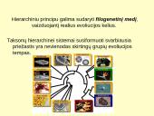 Makroevoliucija 6 puslapis