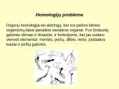 Makroevoliucija 7 puslapis