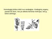 Makroevoliucija 9 puslapis