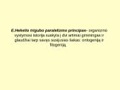 Makroevoliucija 10 puslapis