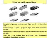 Medžio dirbiniai 2 puslapis