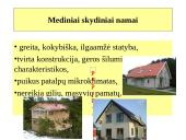 Medžio dirbiniai 16 puslapis