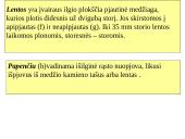 Medžio dirbiniai 3 puslapis