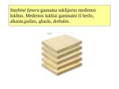 Medžio dirbiniai 10 puslapis