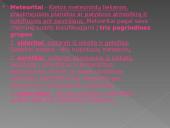 Meteoroidai, meteorai, meteoritai 3 puslapis