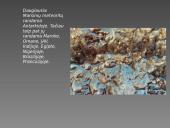 Meteoroidai, meteorai, meteoritai 9 puslapis