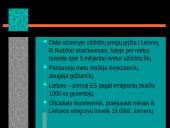 Tarptautinės migracijos statistika 11 puslapis