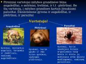 Mitybos ryšiai ekosistemoje 4 puslapis
