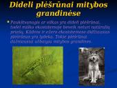 Mitybos ryšiai ekosistemoje 5 puslapis