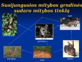 Mitybos ryšiai ekosistemoje 8 puslapis