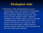 Mitybos ryšiai ekosistemoje 9 puslapis