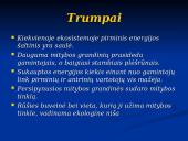 Mitybos ryšiai ekosistemoje 10 puslapis