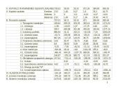 Mokėjimų balansas 11 puslapis