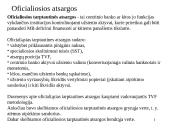 Mokėjimų balansas 14 puslapis