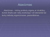 Morfologiniai ir biogeografiniai evoliucijos įrodymai 18 puslapis