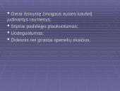 Morfologiniai ir biogeografiniai evoliucijos įrodymai 19 puslapis