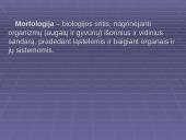 Morfologiniai ir biogeografiniai evoliucijos įrodymai 5 puslapis