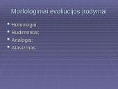 Morfologiniai ir biogeografiniai evoliucijos įrodymai 6 puslapis