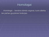 Morfologiniai ir biogeografiniai evoliucijos įrodymai 7 puslapis